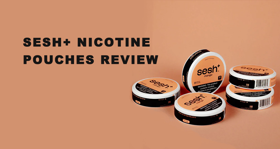 Comprehensive Evaluation of Sesh+ Nicotine Pouches