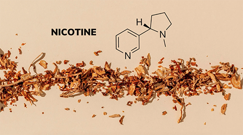 Is nicotine bad for you?